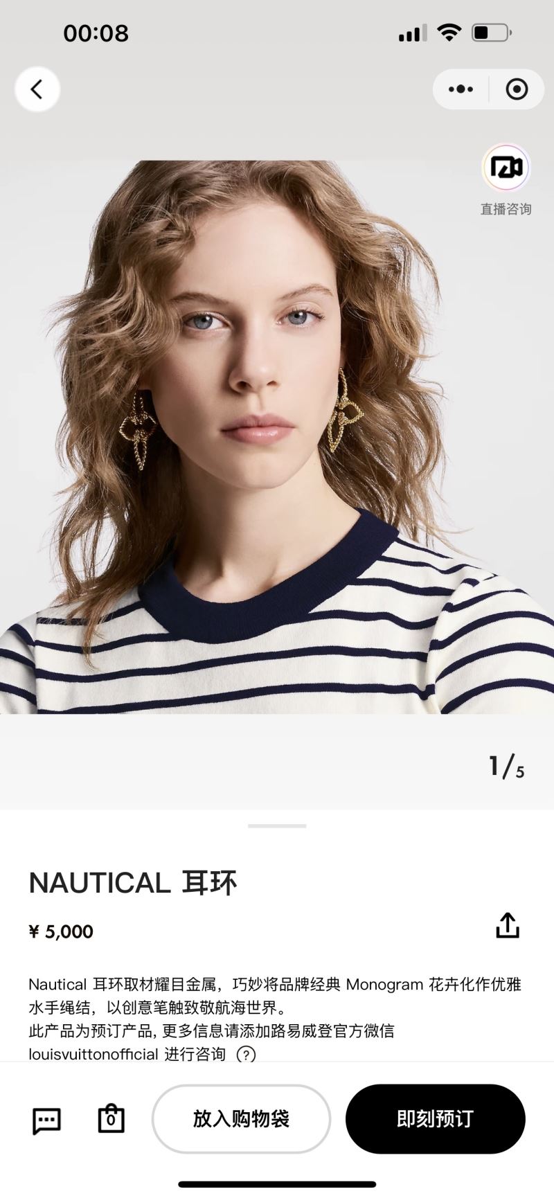 LV Earrings